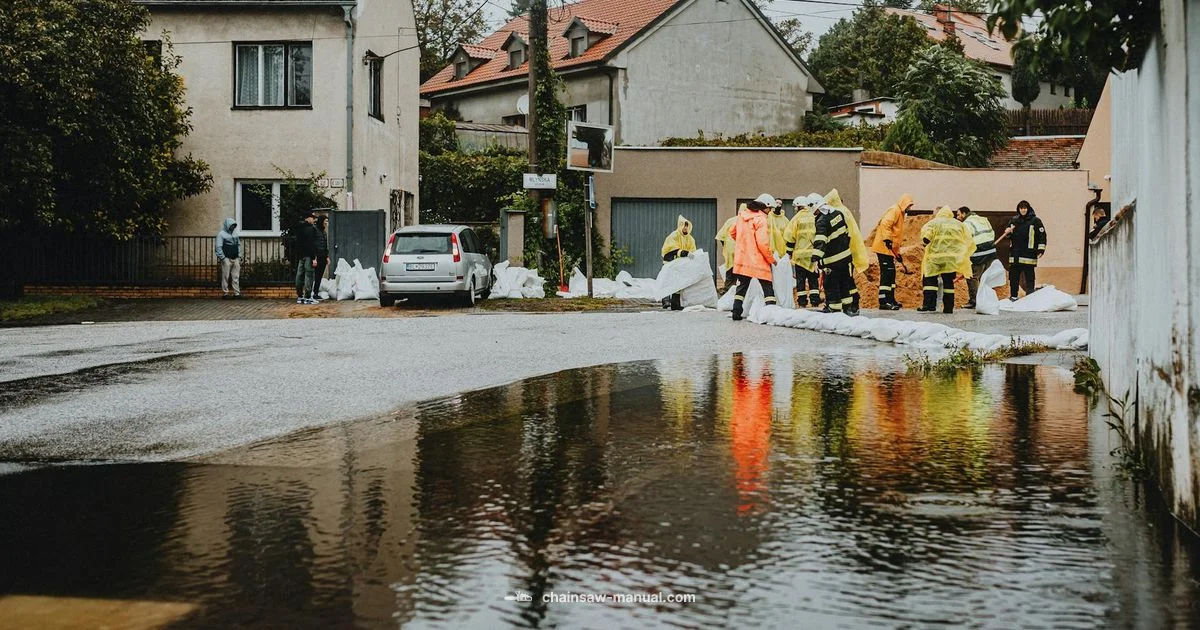 Flooded Chainsaw Fix - Chainsaw Manual