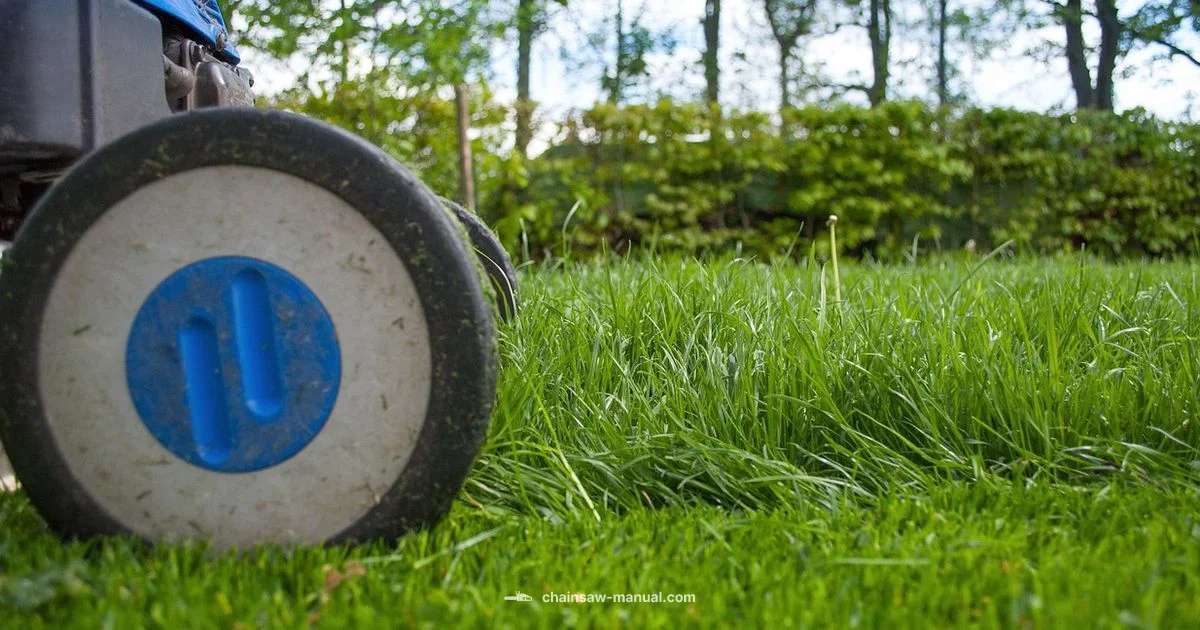 STIHL Buying Guide STIHL Buying Guide - Chainsaw Manual