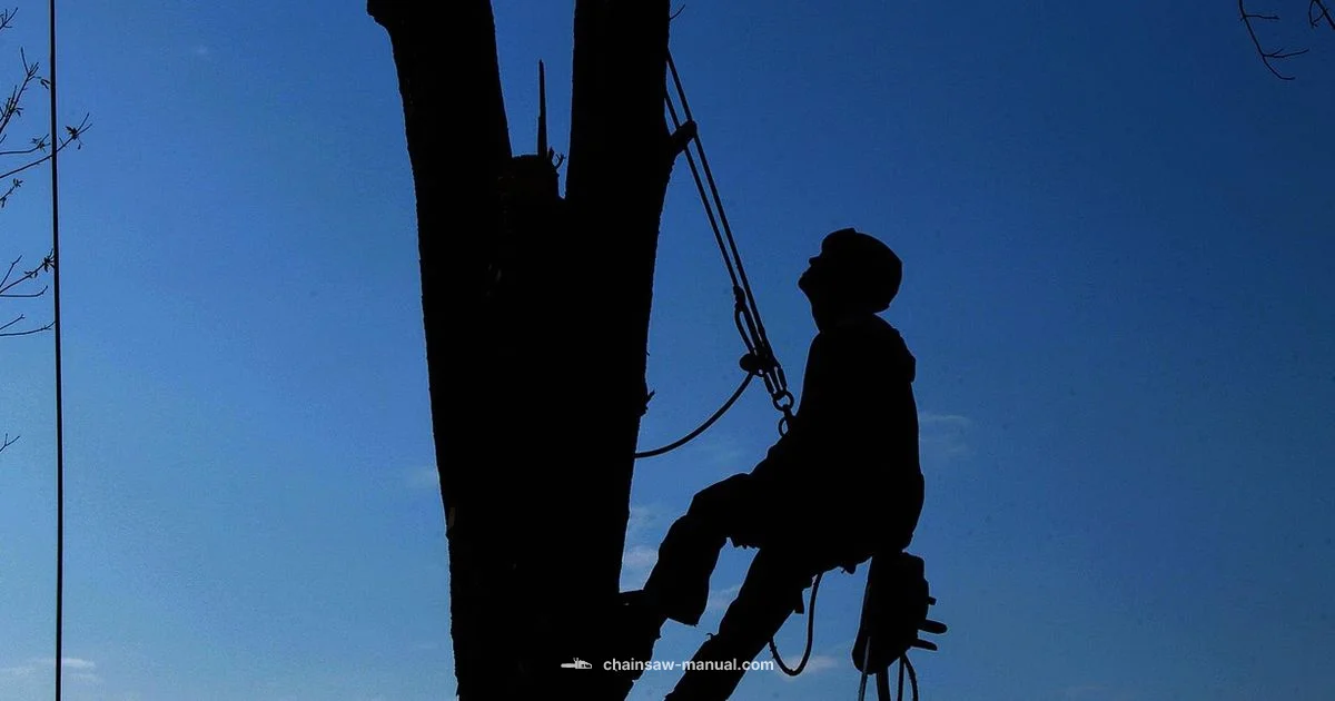 Install Chainsaw Chain - Chainsaw Manual