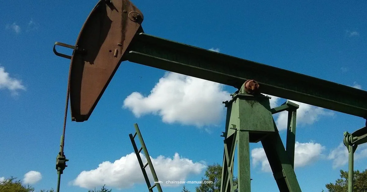 Chainsaw Oil Leak - Chainsaw Manual