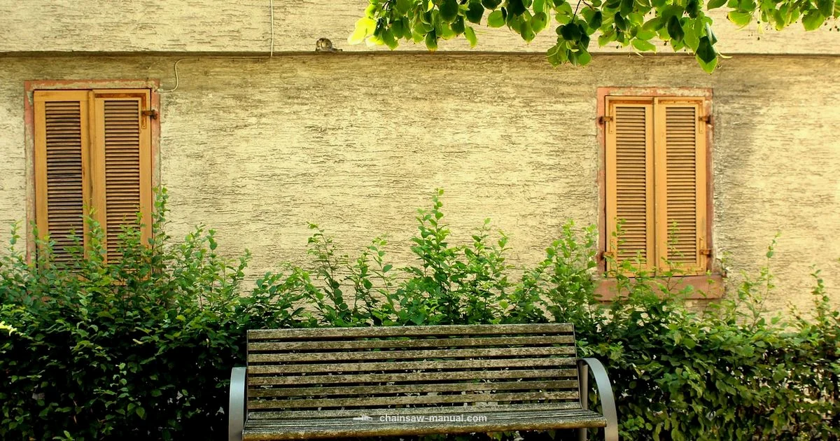 Chainsaw vs Katana - Chainsaw Manual