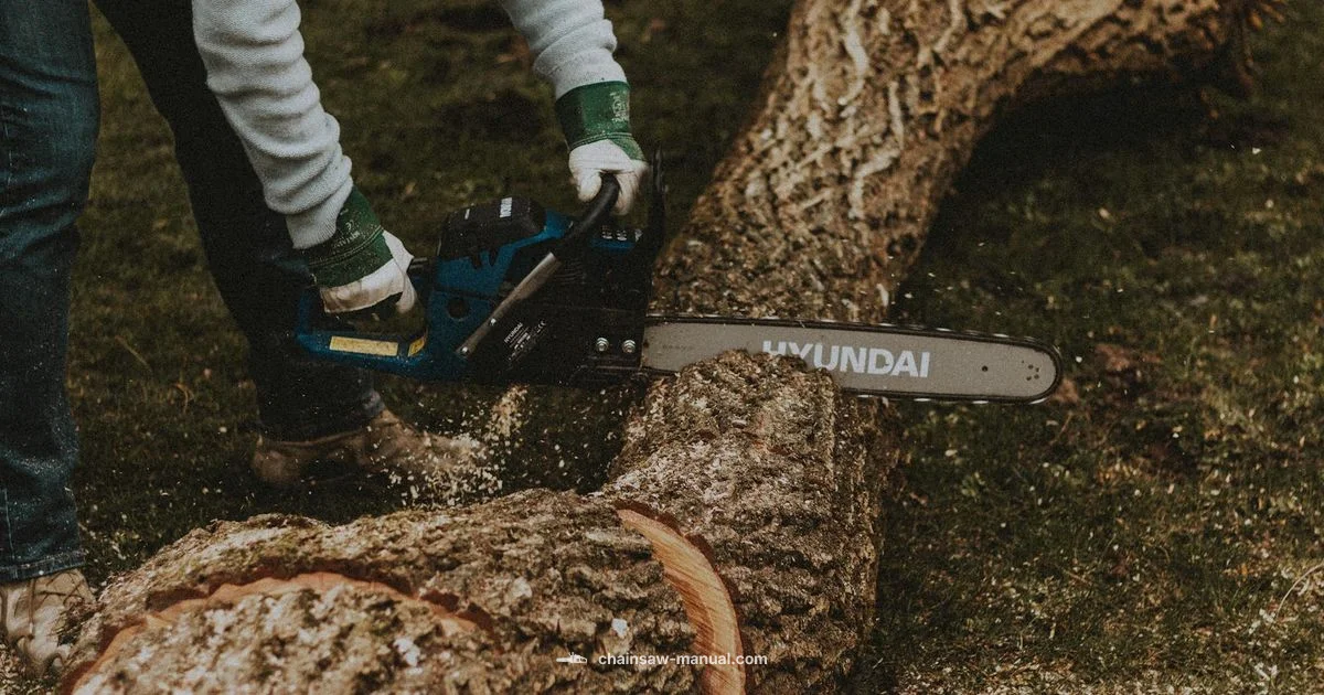 Best Value Chainsaw Best Value Chainsaw - Chainsaw Manual