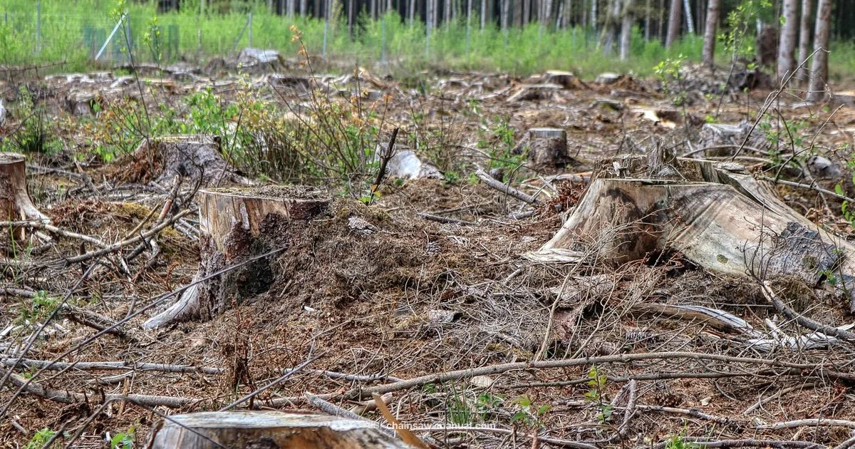 Pro Logger Saw Pro Logger Saw - Chainsaw Manual