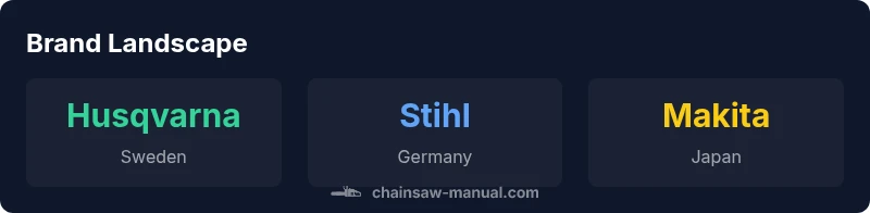 Infographic showing leading chainsaw brands and origins