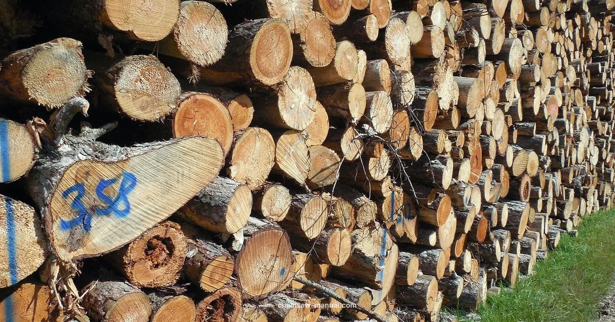Chainsaw Cutting Tricks - Chainsaw Manual