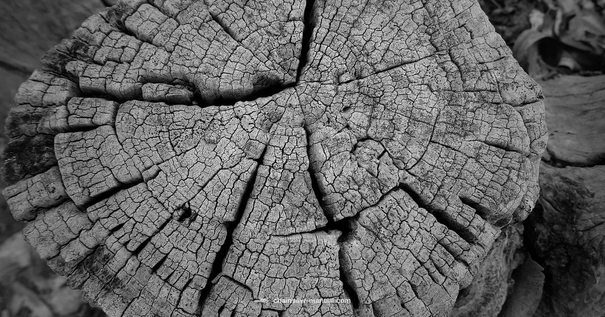 Chainsaw Sound in Text Chainsaw Sound in Text - Chainsaw Manual