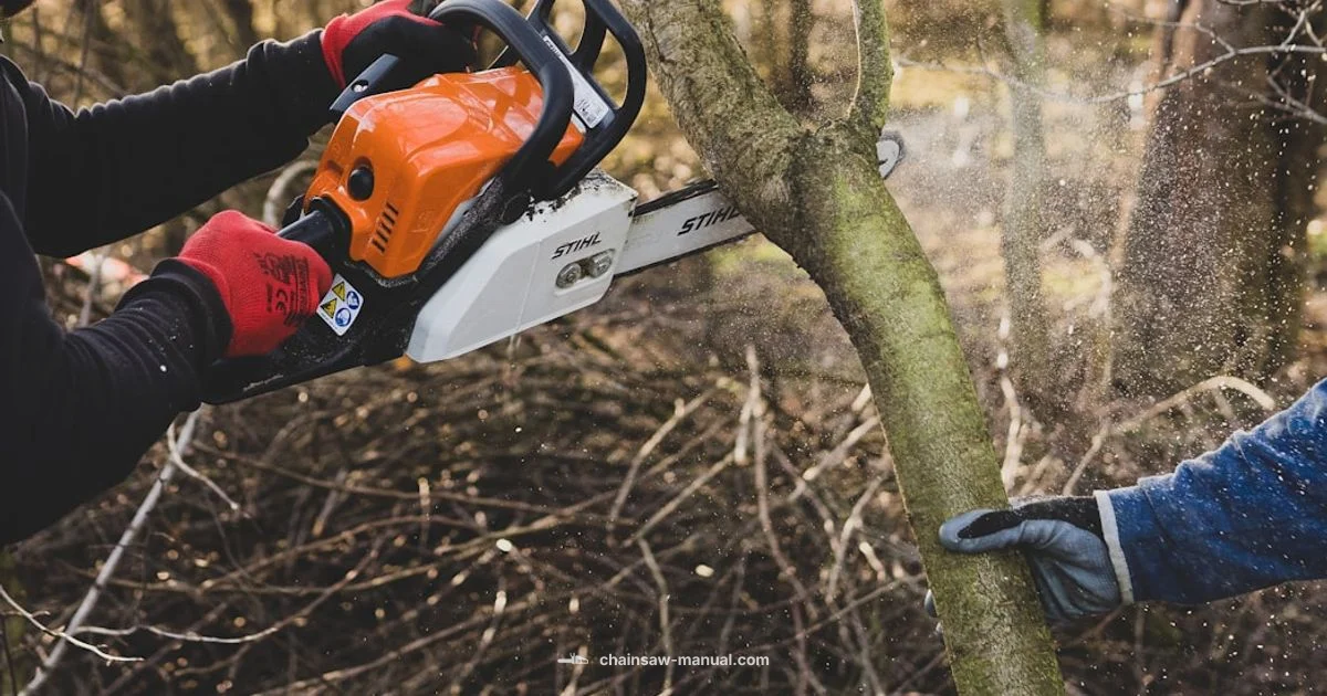 Top Bar Picks 2026 - Chainsaw Manual