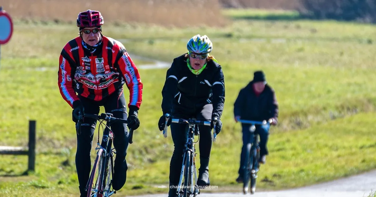 Wild Thing Chain Guide Wild Thing Chain Guide - Chainsaw Manual