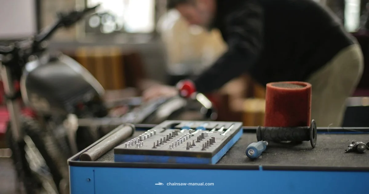 MS250 Guide - Chainsaw Manual