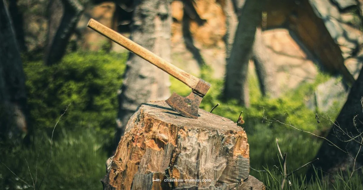 Zombie Camo Bo6 Guide - Chainsaw Manual