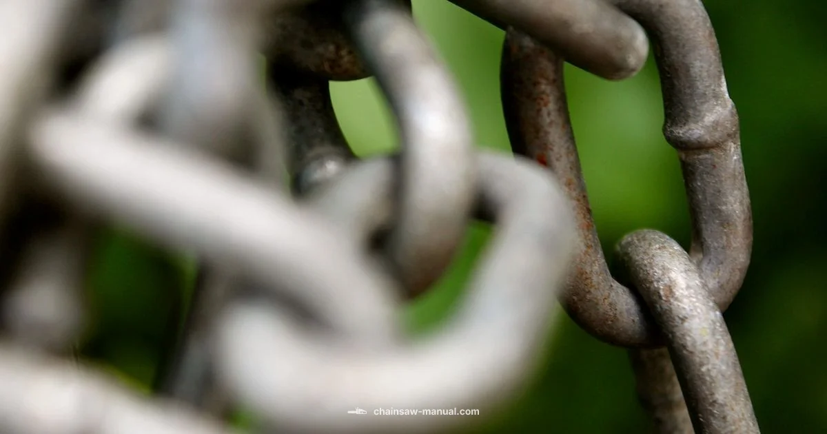 Chain Break Safety Chain Break Safety - Chainsaw Manual