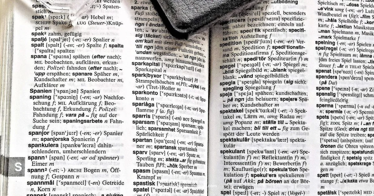 Kettensäge Deutsch - Chainsaw Manual