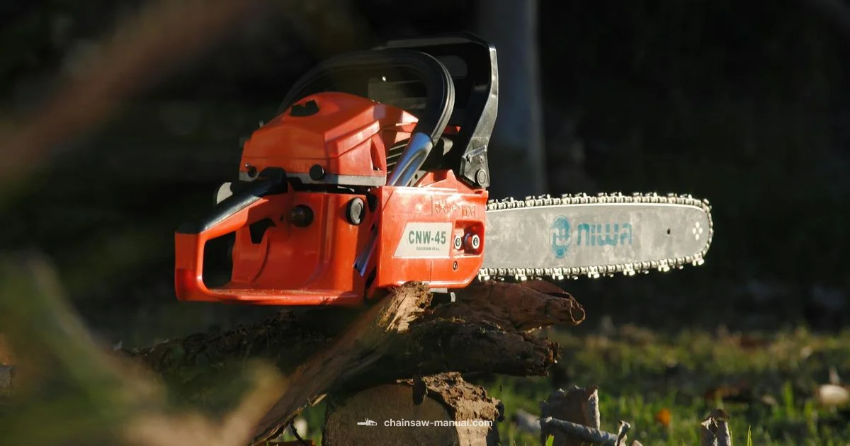 Oil Your Chainsaw Bar Oil Your Chainsaw Bar - Chainsaw Manual