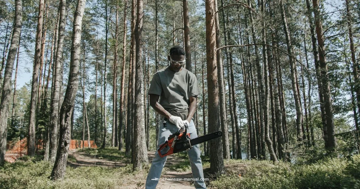 Which Chainsaw Brand Is Most Reliable Which Chainsaw Brand Is Most Reliable - Chainsaw Manual