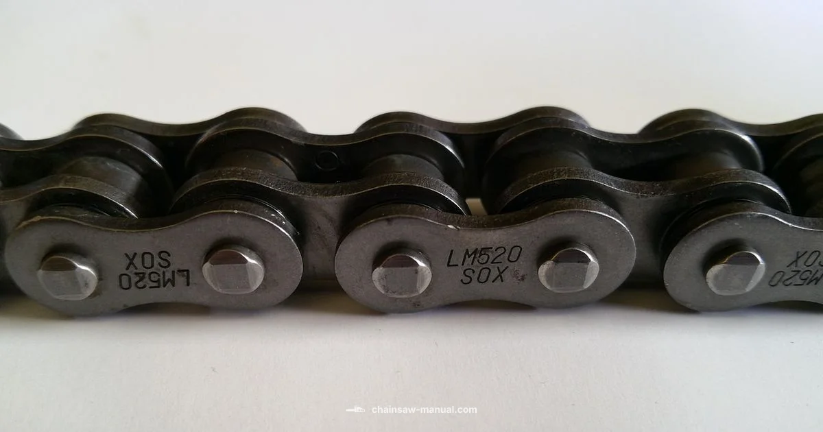 Best Chainsaw Chain - Chainsaw Manual