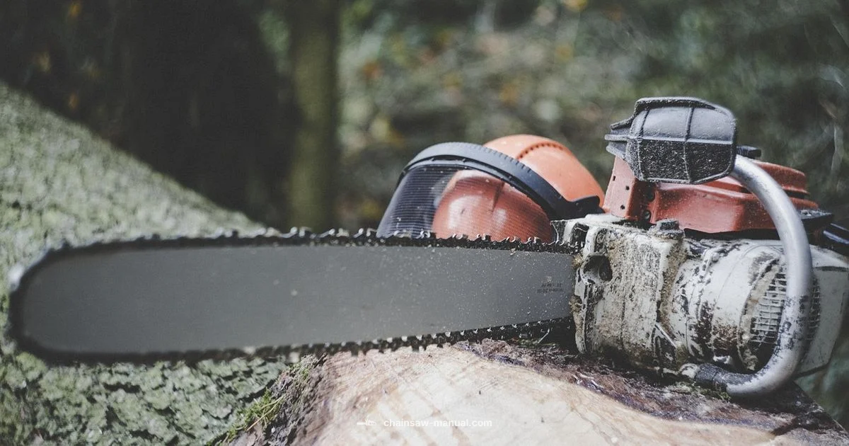 Chainsaw Safety Basics - Chainsaw Manual