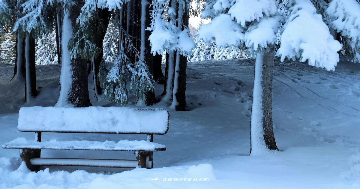 Winter PPE Picks - Chainsaw Manual