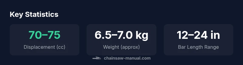 Infographic showing engine displacement, weight, and bar length range for the Stihl MS 462 chainsaw