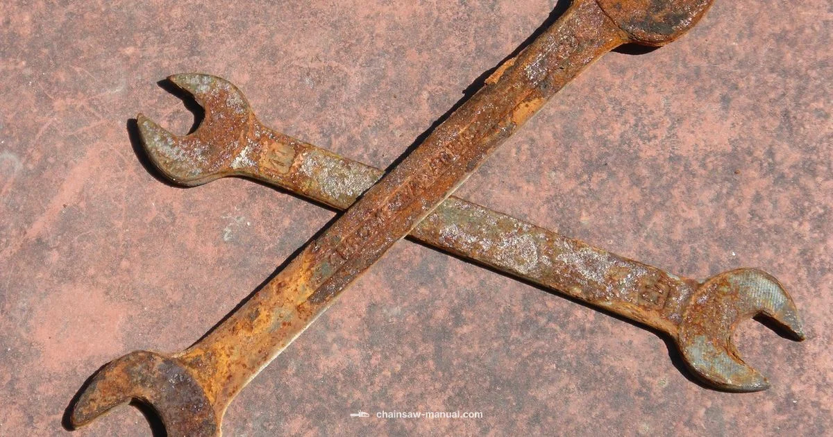 Rust Repair Guide - Chainsaw Manual