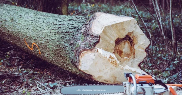 ms462 Concept Definition - Chainsaw Manual