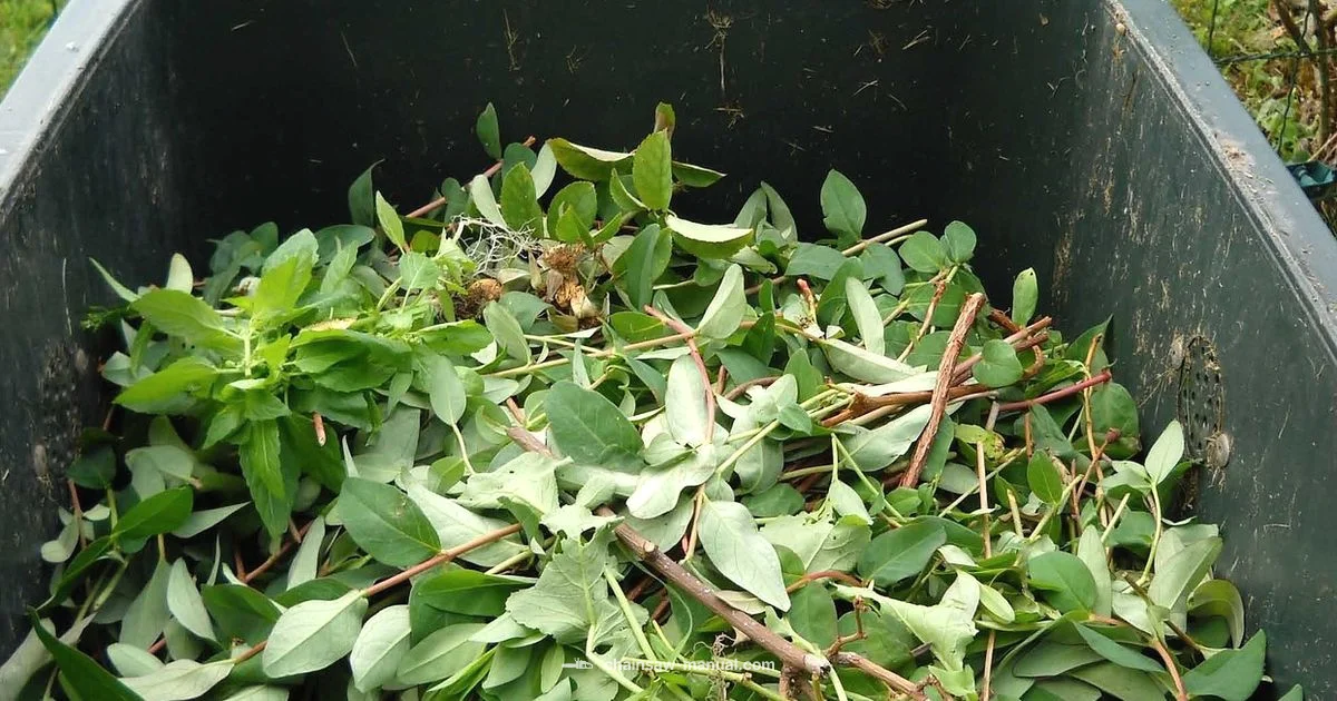 Old Chainsaw Chains Old Chainsaw Chains - Chainsaw Manual