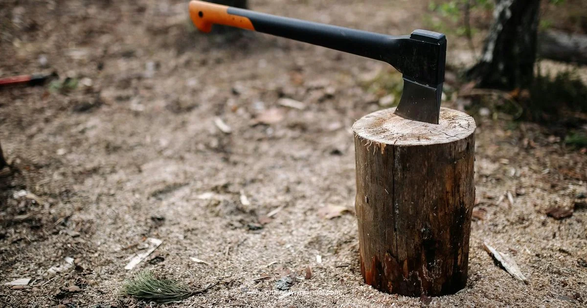 XP Chainsaw Guide - Chainsaw Manual