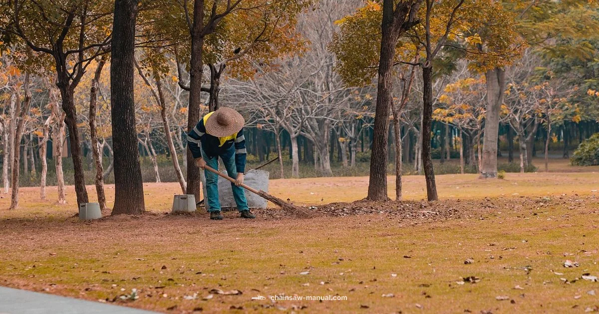 Safe Chain Tension Guide - Chainsaw Manual