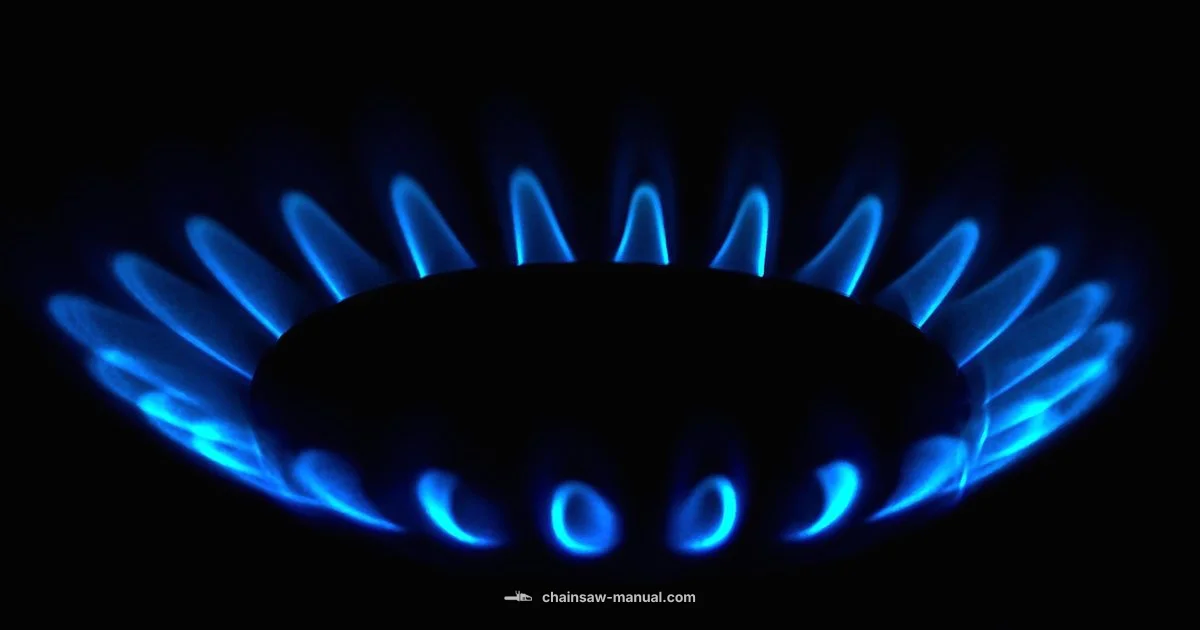 Gas Line Diagram - Chainsaw Manual