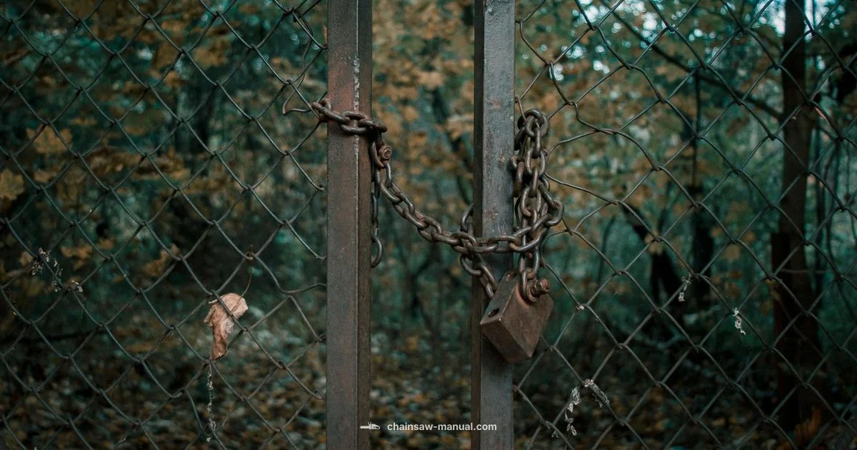 Chain Types Guide - Chainsaw Manual