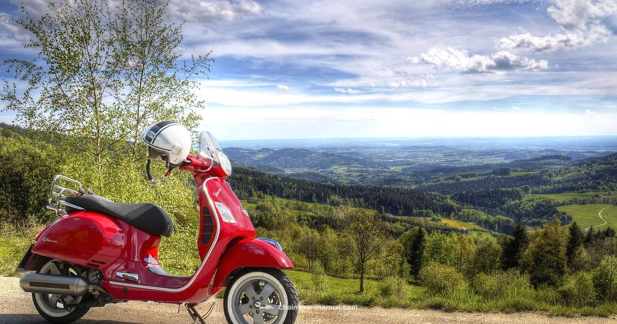 Stihl 250 Parts Guide - Chainsaw Manual