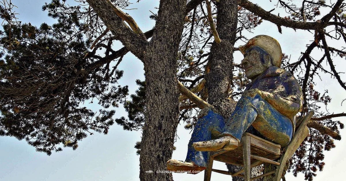 Chainsaw Carving Essentials - Chainsaw Manual
