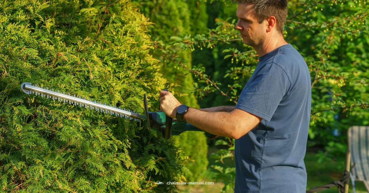 Greenworks Chainsaw Guide - Chainsaw Manual