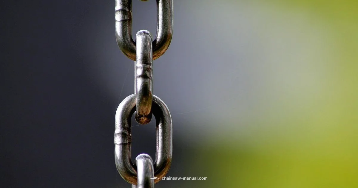 Chainsaw Chain Guide Chainsaw Chain Guide - Chainsaw Manual