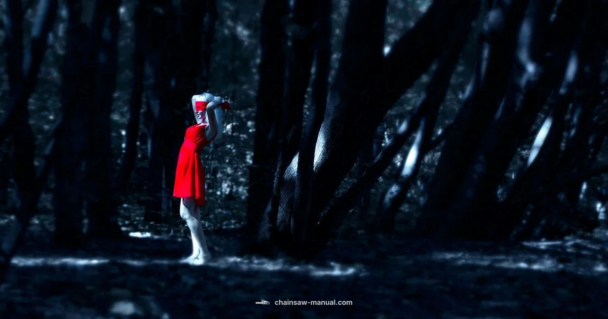 Ladies Chainsaw Safety Ladies Chainsaw Safety - Chainsaw Manual