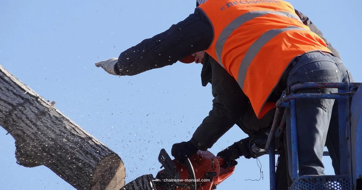 Pole Saw Picks 2026 - Chainsaw Manual