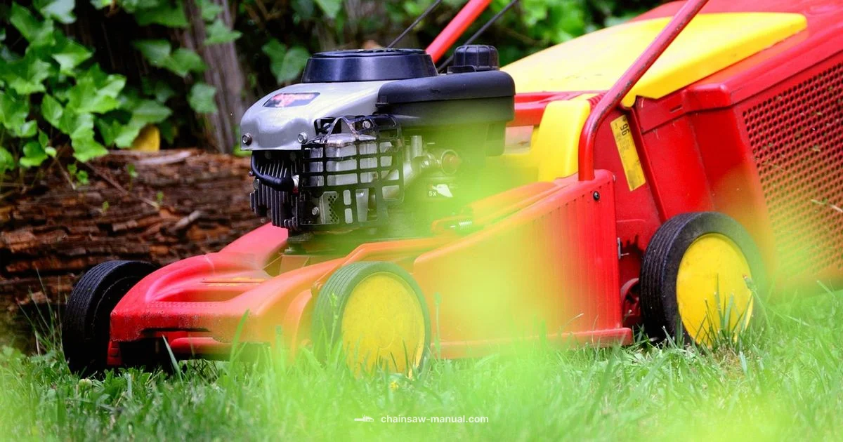 Chainsaw vs Pampas Grass - Chainsaw Manual