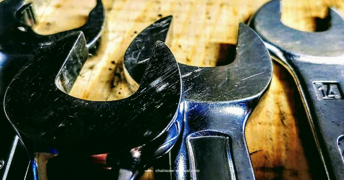 Bar Lubrication Basics Bar Lubrication Basics - Chainsaw Manual