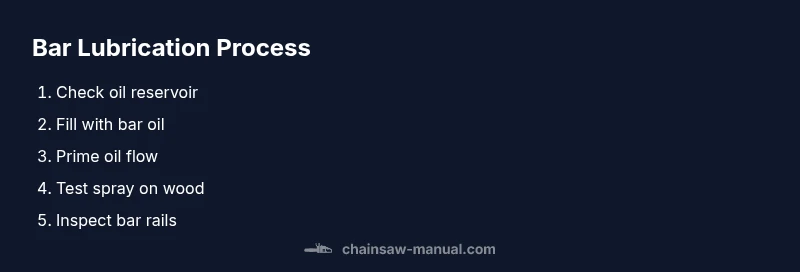 Infographic showing steps to lubricate a chainsaw bar