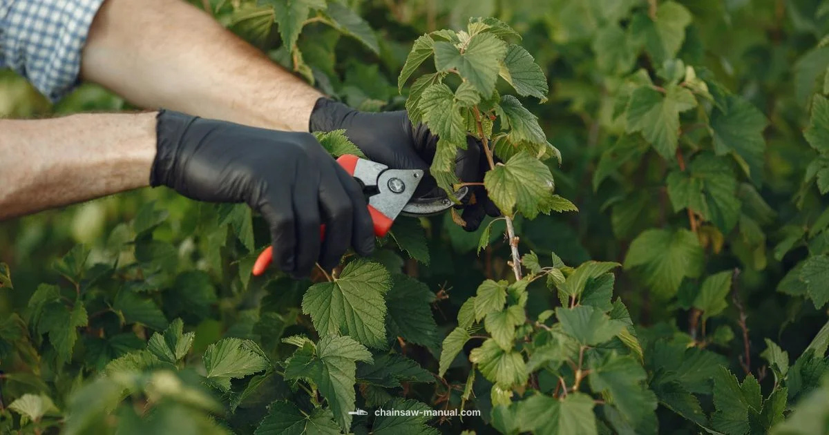 Cordless Chainsaw Guide Cordless Chainsaw Guide - Chainsaw Manual