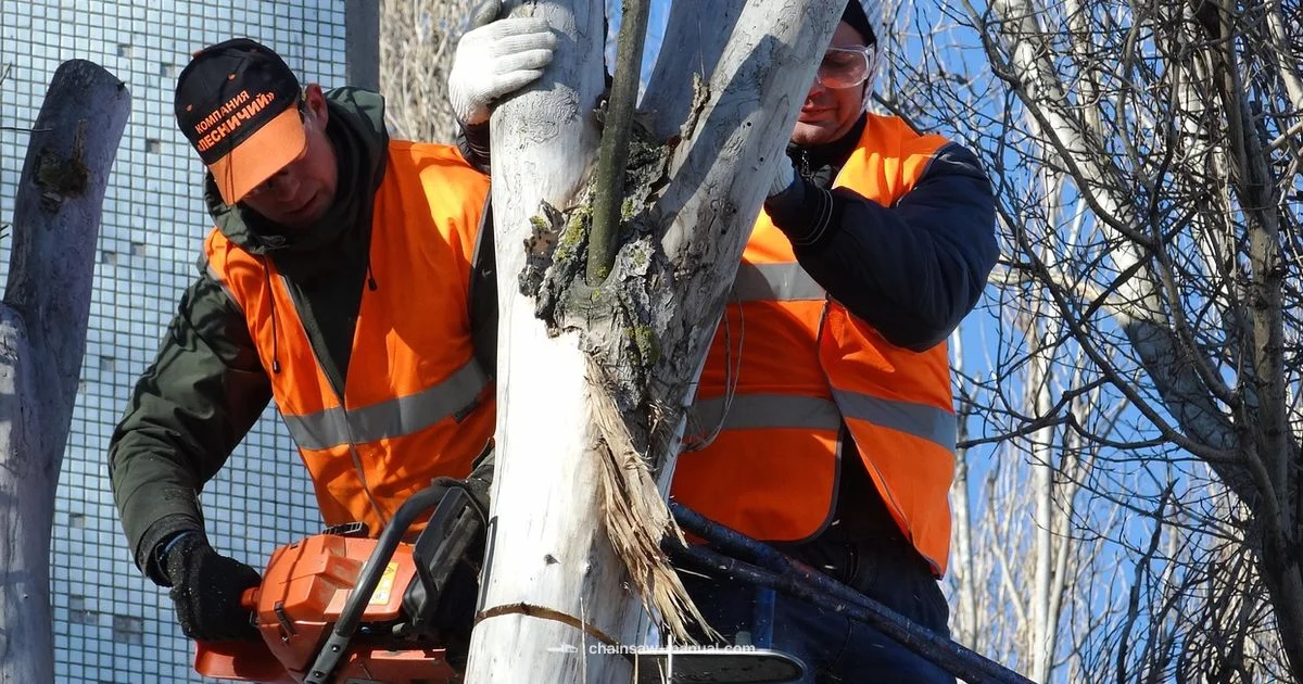 Top Alternatives 2026 - Chainsaw Manual