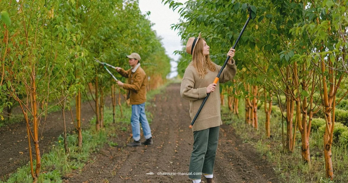 GTA 26 Safety & Use GTA 26 Safety & Use - Chainsaw Manual