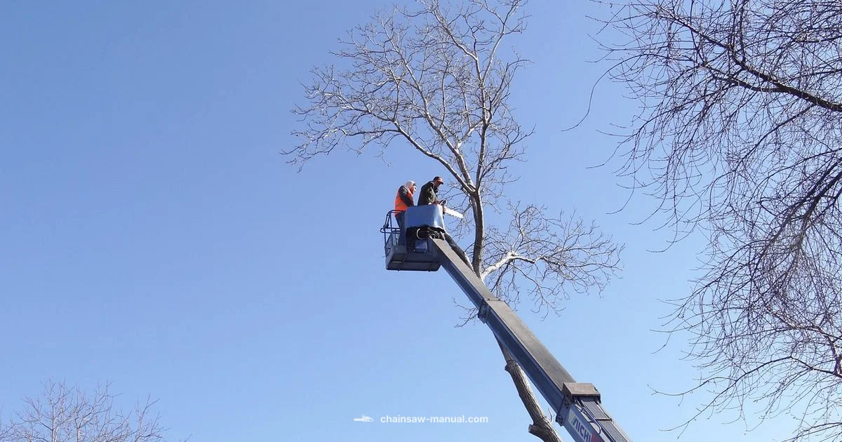 Pole Saw Safety - Chainsaw Manual