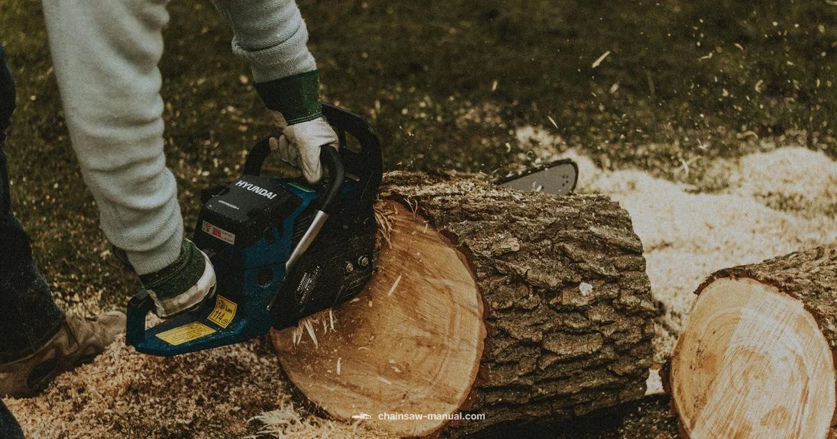 Chainsaw Safety Chainsaw Safety - Chainsaw Manual