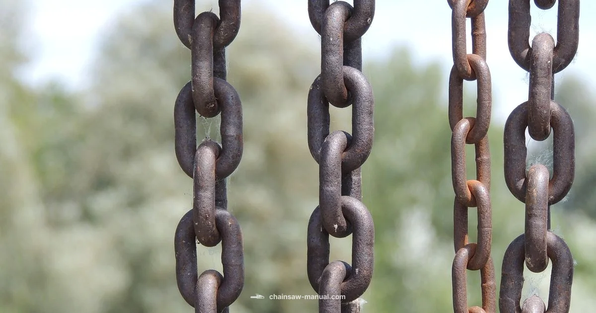 Color-Coded Chains - Chainsaw Manual