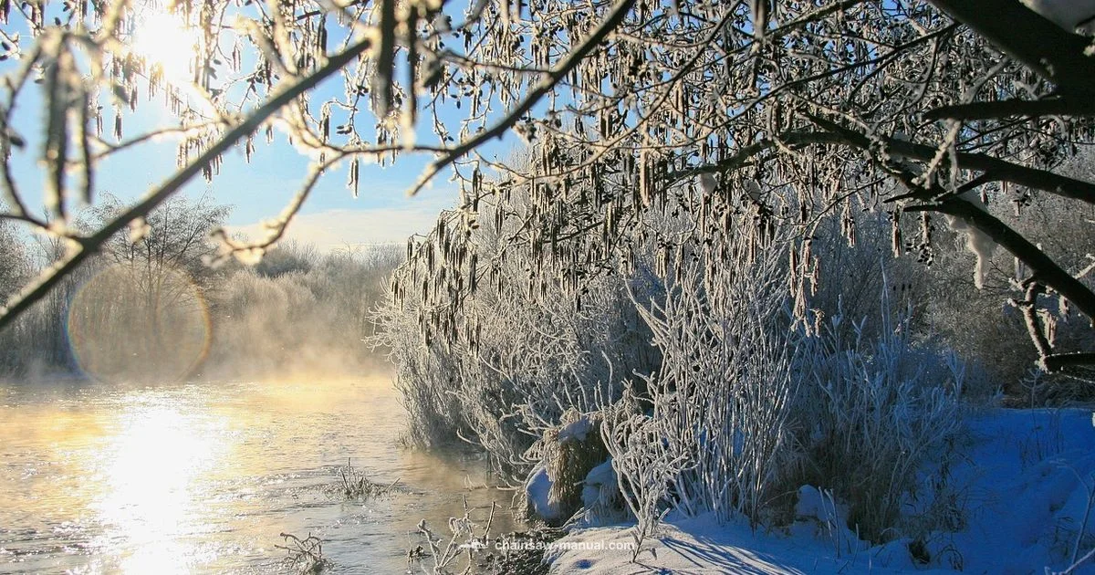 Water Exposure Guide Water Exposure Guide - Chainsaw Manual