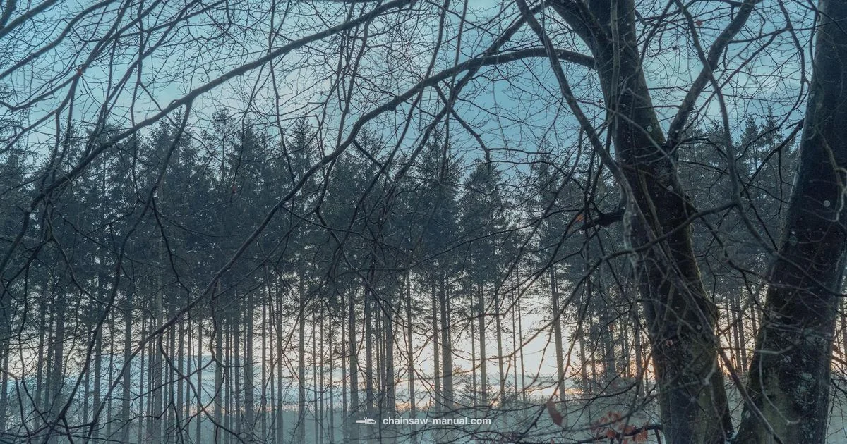 Eco Friendly Sawing Eco Friendly Sawing - Chainsaw Manual