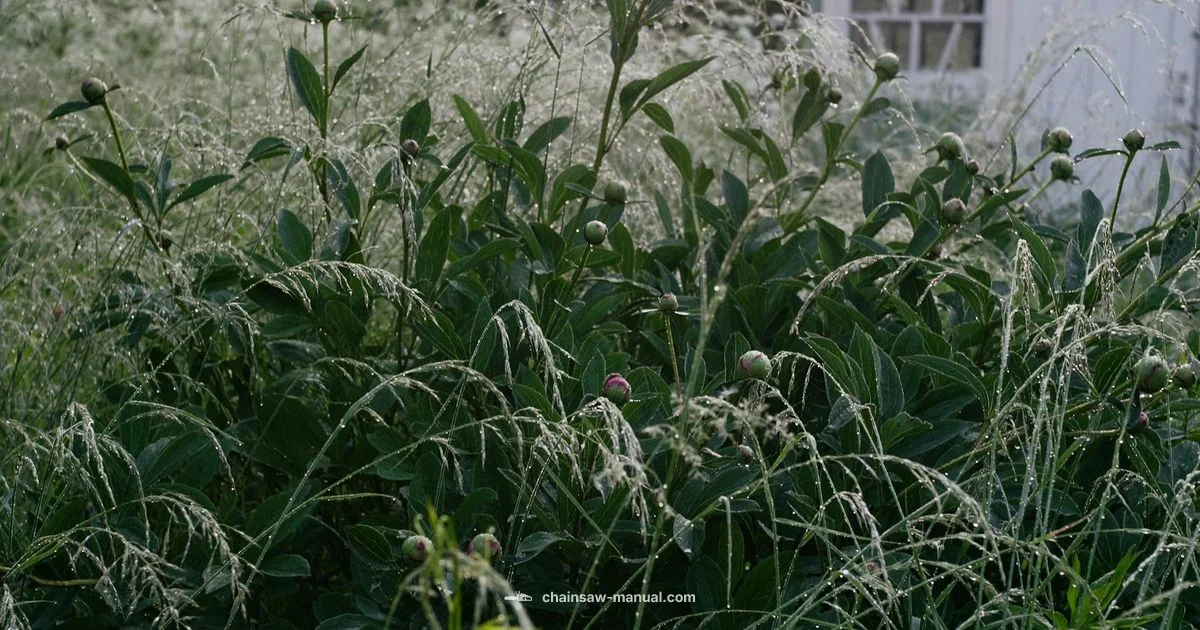 Rain Safe Storage Rain Safe Storage - Chainsaw Manual