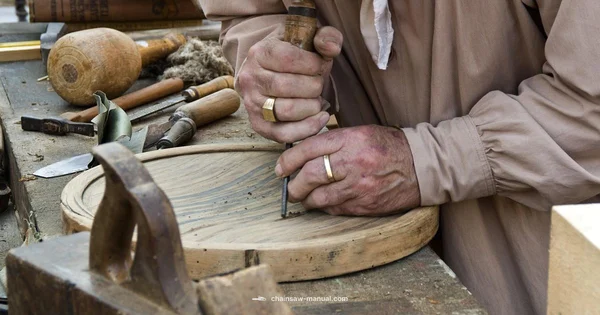 Chainsaw Carving Guide - Chainsaw Manual