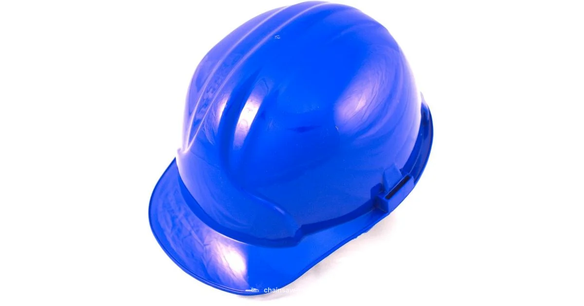 Safety in the Workshop Safety in the Workshop - Chainsaw Manual