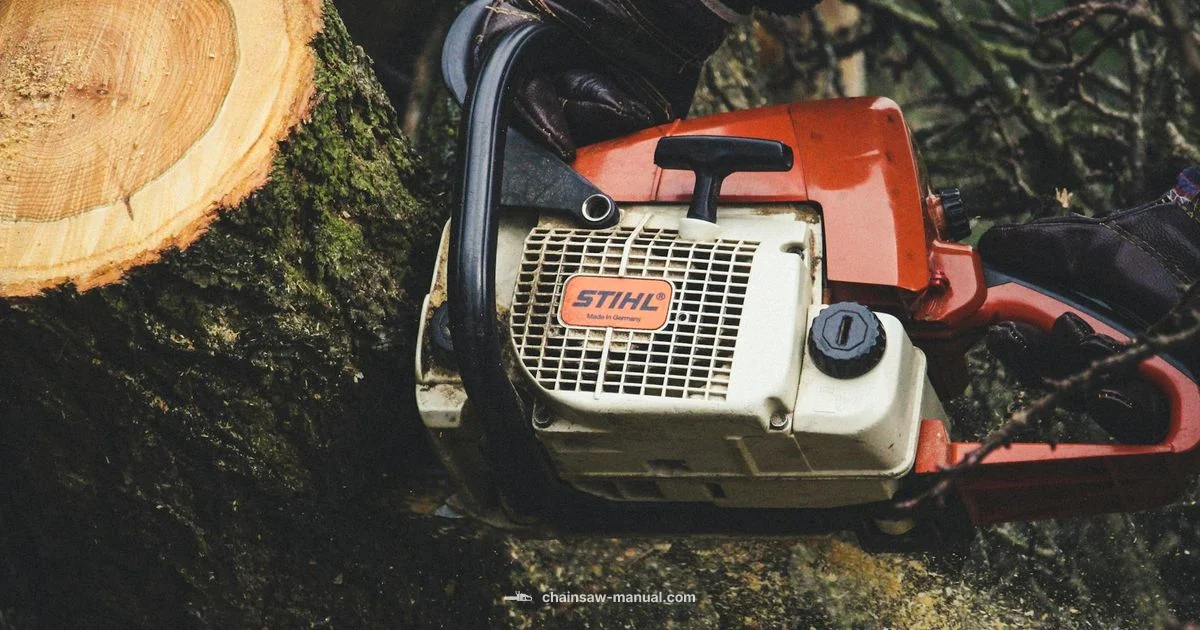 Get a Chainsaw Safely - Chainsaw Manual